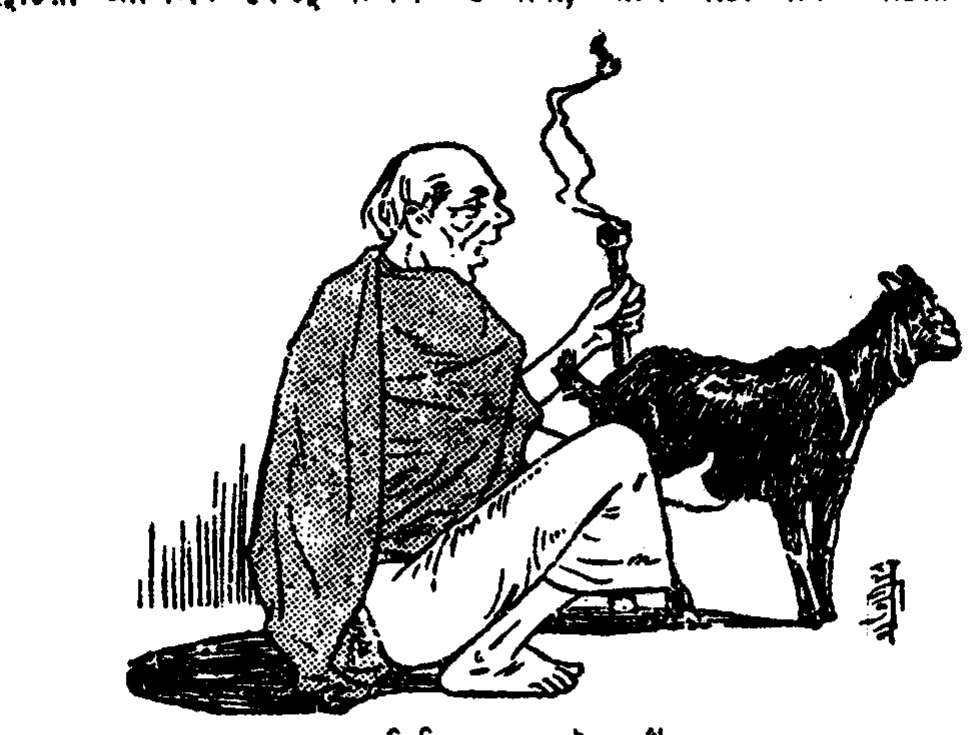 'দিব্য পুরুষ্ট পাঁঠা'