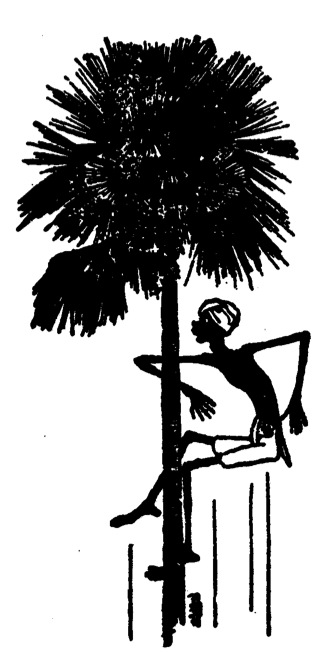 সড়াক্ করিয়া নামিয়া আসিল