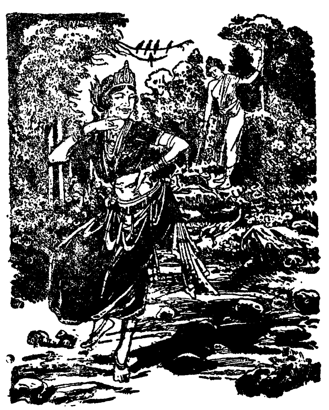 illustration