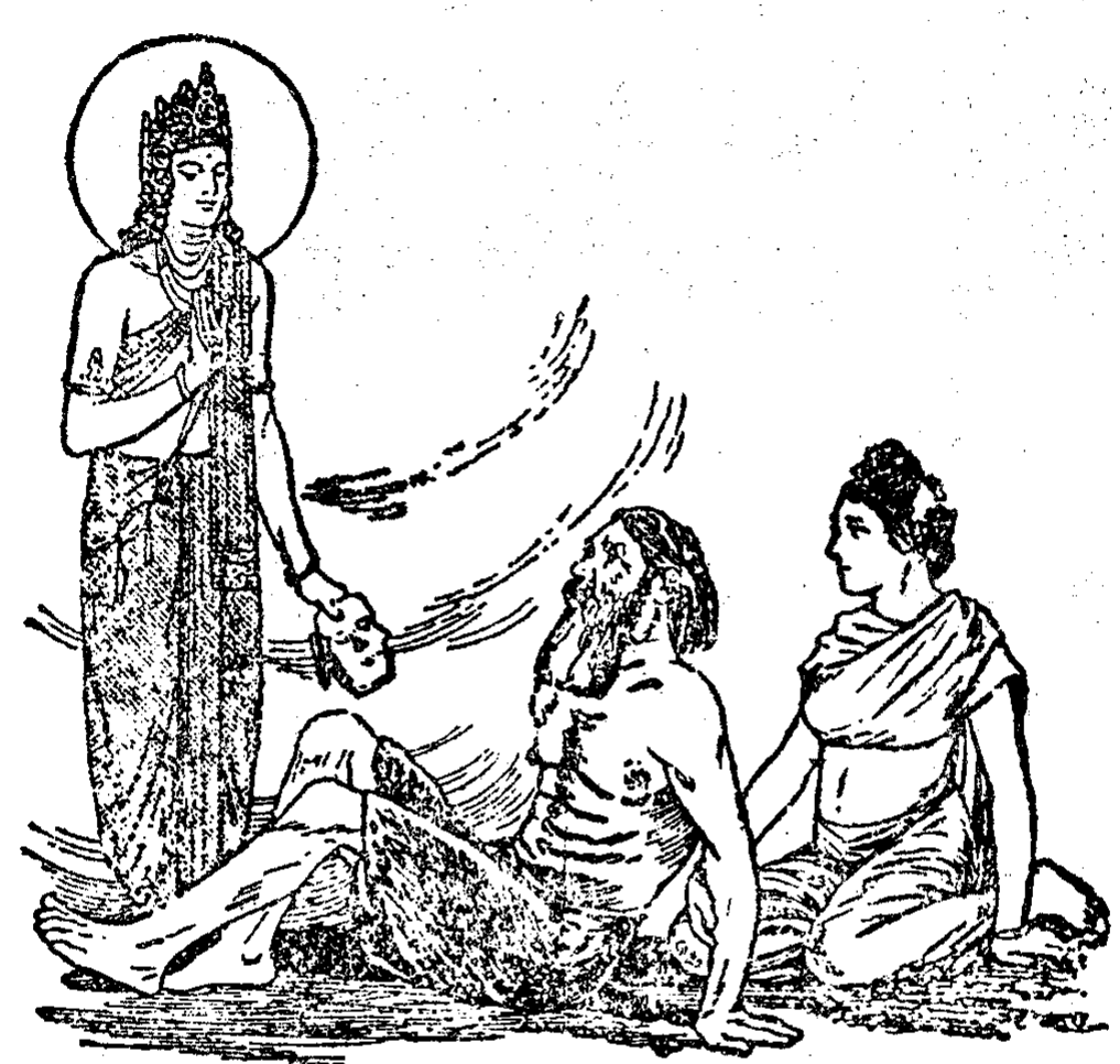 illustration