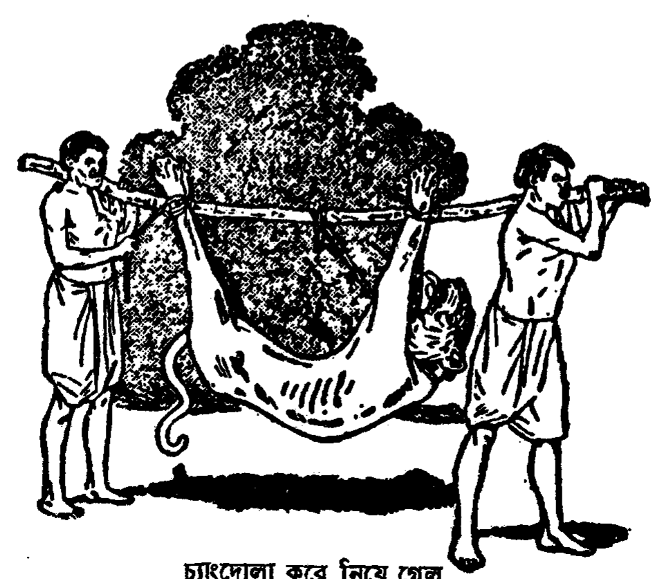 illustration