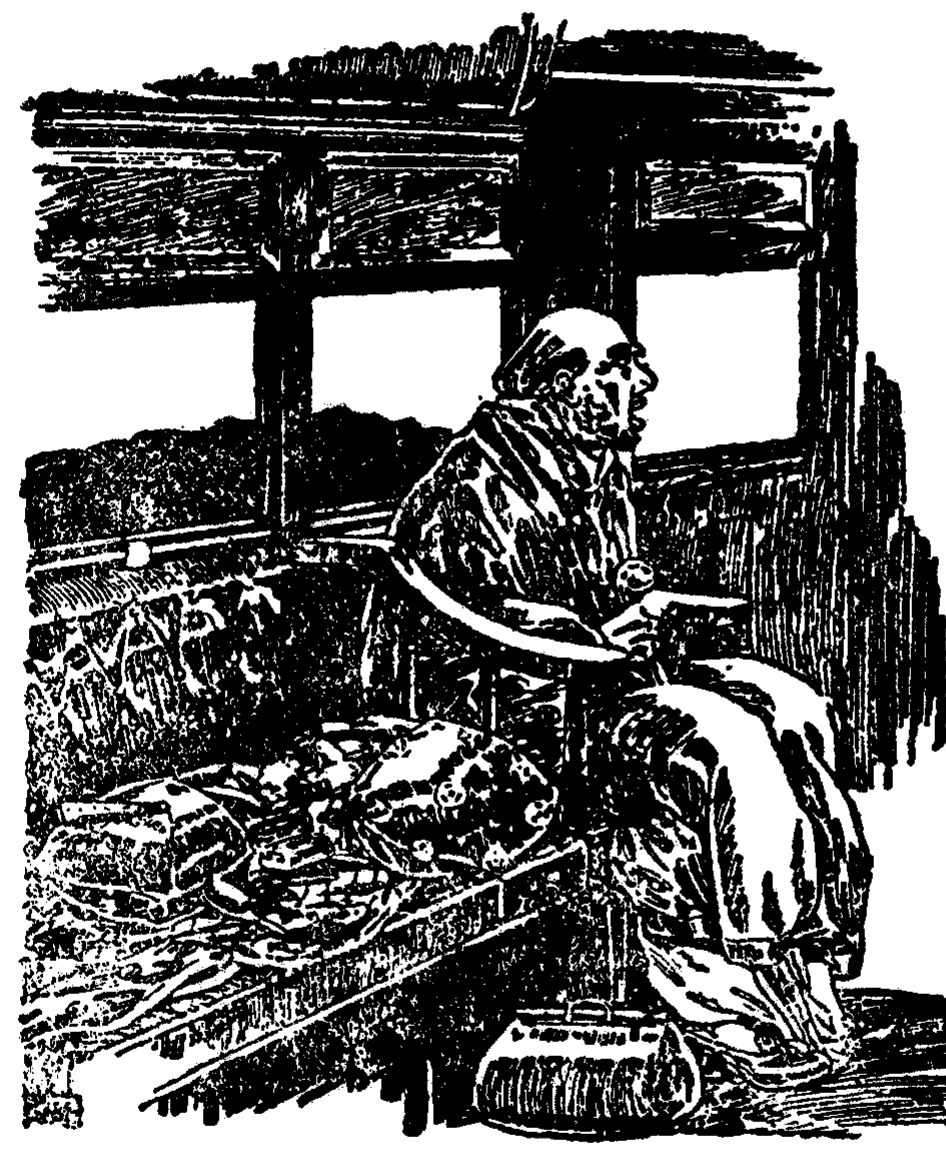 illustration
